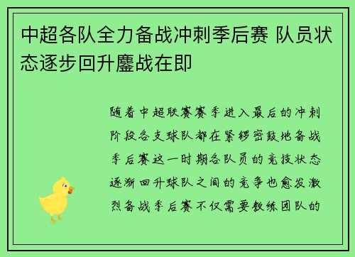 中超各队全力备战冲刺季后赛 队员状态逐步回升鏖战在即